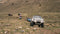 5th Gen Toyota 4Runner Side Steps 10-22 4Runner CBI Offroad - [Get Rigged Co]