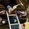 INTREPIDOR 1600 RTT SKY WINDOW - [Get Rigged Co]