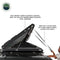Sidewinder Aluminum Side Opening Roof Top Tent - [Get Rigged Co]